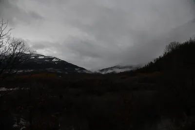 DSC_5877 (Large).JPG